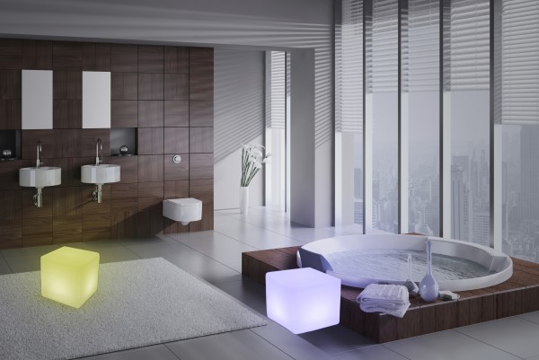 Exclusive Luxury Penthouse Bathroom Interior